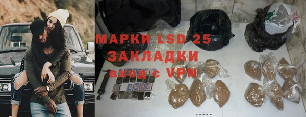 PSILOCYBIN Дмитриев