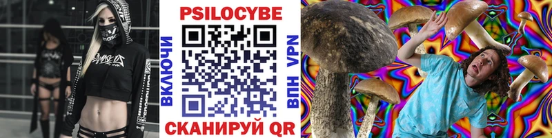 Псилоцибиновые грибы ЛСД  купить  цена  mega tor  Кизилюрт 